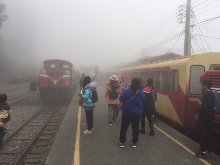 阿里山隙頂二日之旅