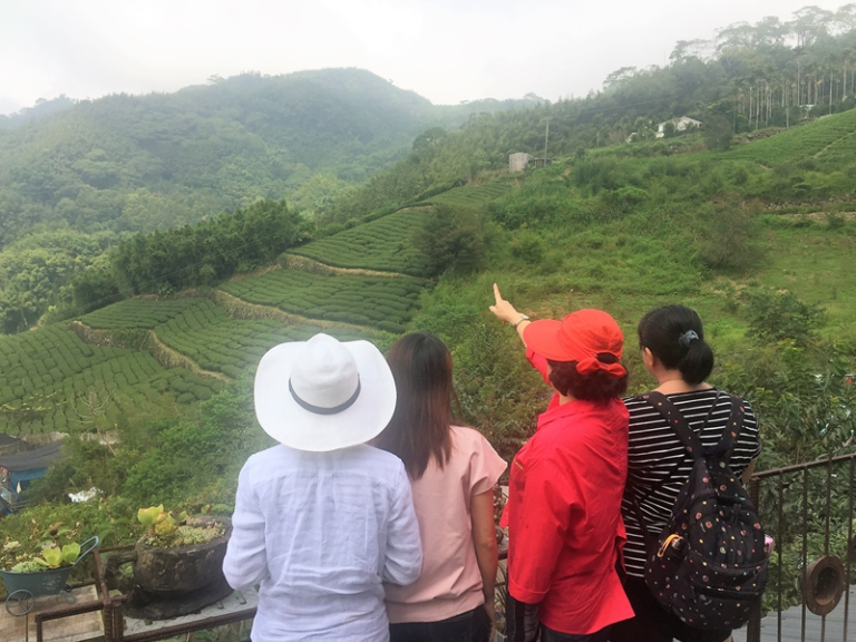 美女露營房車遊阿里山