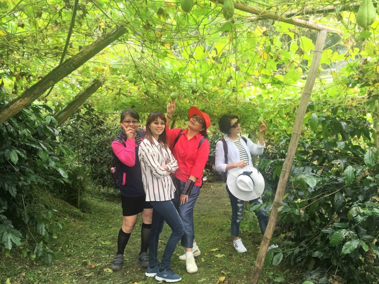 美女露營房車遊阿里山