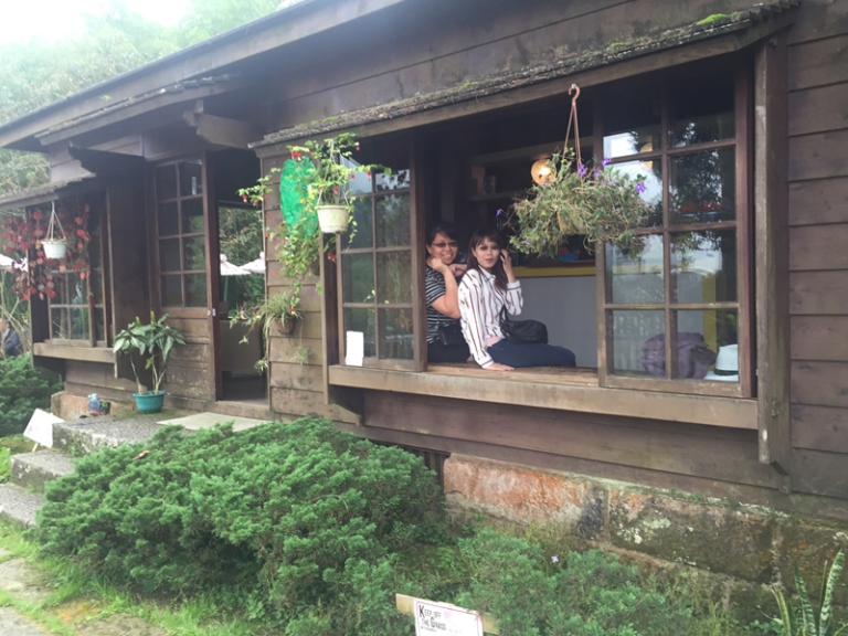 美女露營房車遊阿里山