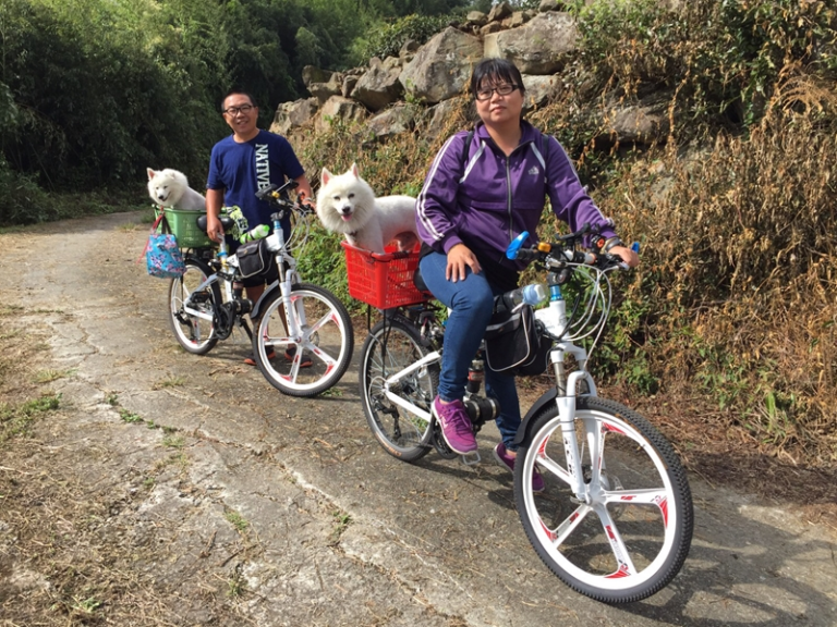 露營車加電動中置馬達自行車，上山下海天下無敵。